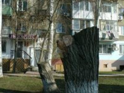 � ����� �������: � ������ ���������� �������� �������