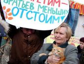 В магазине, торгующем кошачьими шкурками, милиция нарушений не нашла