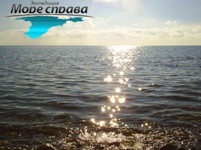 ������ "����" ������� ����� ���������� "���� ������ � 2013"