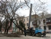 Из-за сильного ветра в Большой Феодосии падали деревья