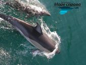 В Феодосии состоится on-line интервью с руководителями проекта «Море справа»