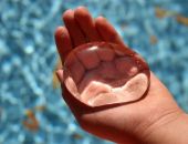 Во время отключения воды учреждения и службы Феодосии работают без сбоев