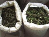 В Судаке пойман с поличным крупный наркоторговец 	