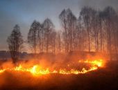За поджог сухой травы будут штрафовать