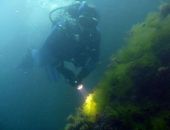 Найденный в Черном море немецкий транспорт с ценностями будут расследовать археологи
