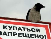 В районе рыбхоза «Волна революции» в воде обнаружено тело мужчины