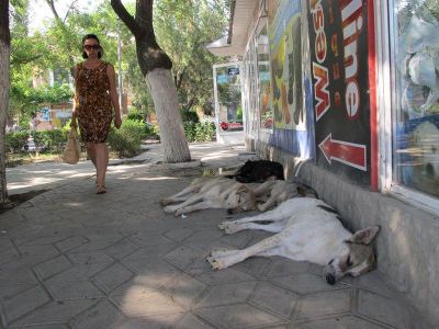 � �������� ��� ��������� �������� �������� ������
