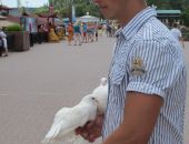 В Феодосии фотографов с животными собираются наказывать