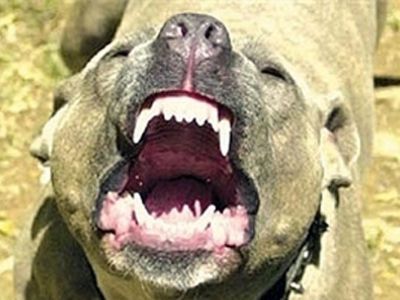� ����������� ������ � "������ ������" 30 ����� �����