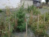 В Кировском районе выявили пять фактов хранения наркотиков
