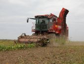 Китай приобретет в Украине почти 3 млн гектаров сельхозугодий