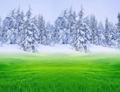 Украинские синоптики предрекают аномально теплую зиму