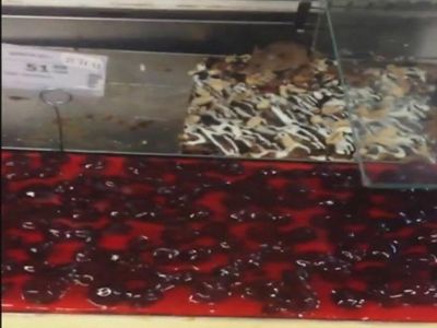 � ������������ ����������� ���� ��� ���� �� ������ �����������