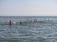 Заплыв моржей в апреле Заплыв моржей в апреле