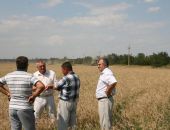 Аграрии убрали в Крыму 70% площадей зерновых культур 