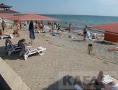Управление ЖКХ  отчиталось о курортном сезоне в Феодосии