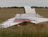 В Нидерландах опубликован первый доклад о причинах крушения «Боинга» 