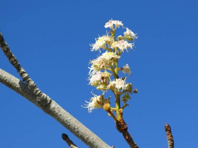 � ��������� ������� �������