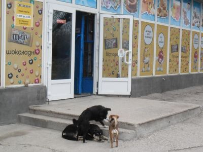 � ��������� ������ �������� �� �������� 