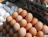 В регионах могут установить максимальные цены на продукты